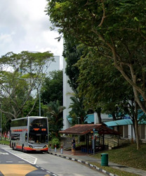 Petir Road (Bukit Panjang),  #478247871